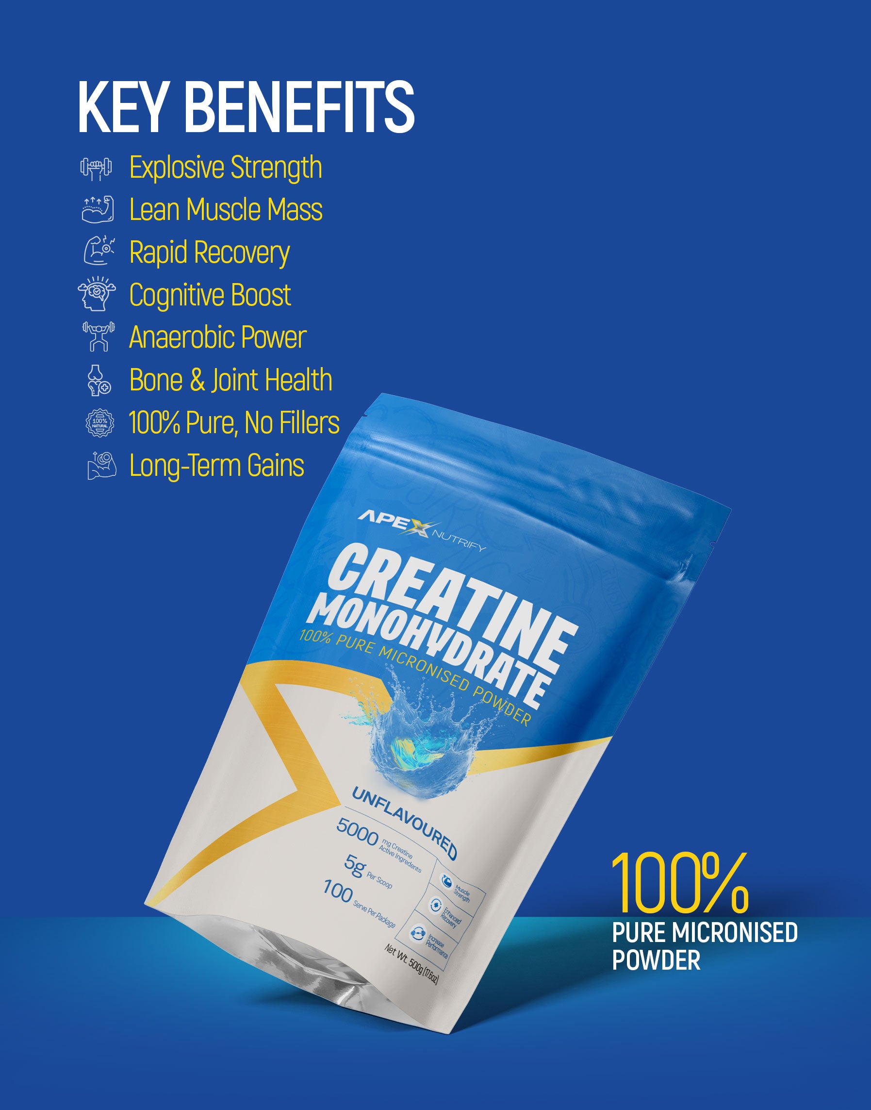 MICRONISED CREATINE MONOHYDRATE 500G