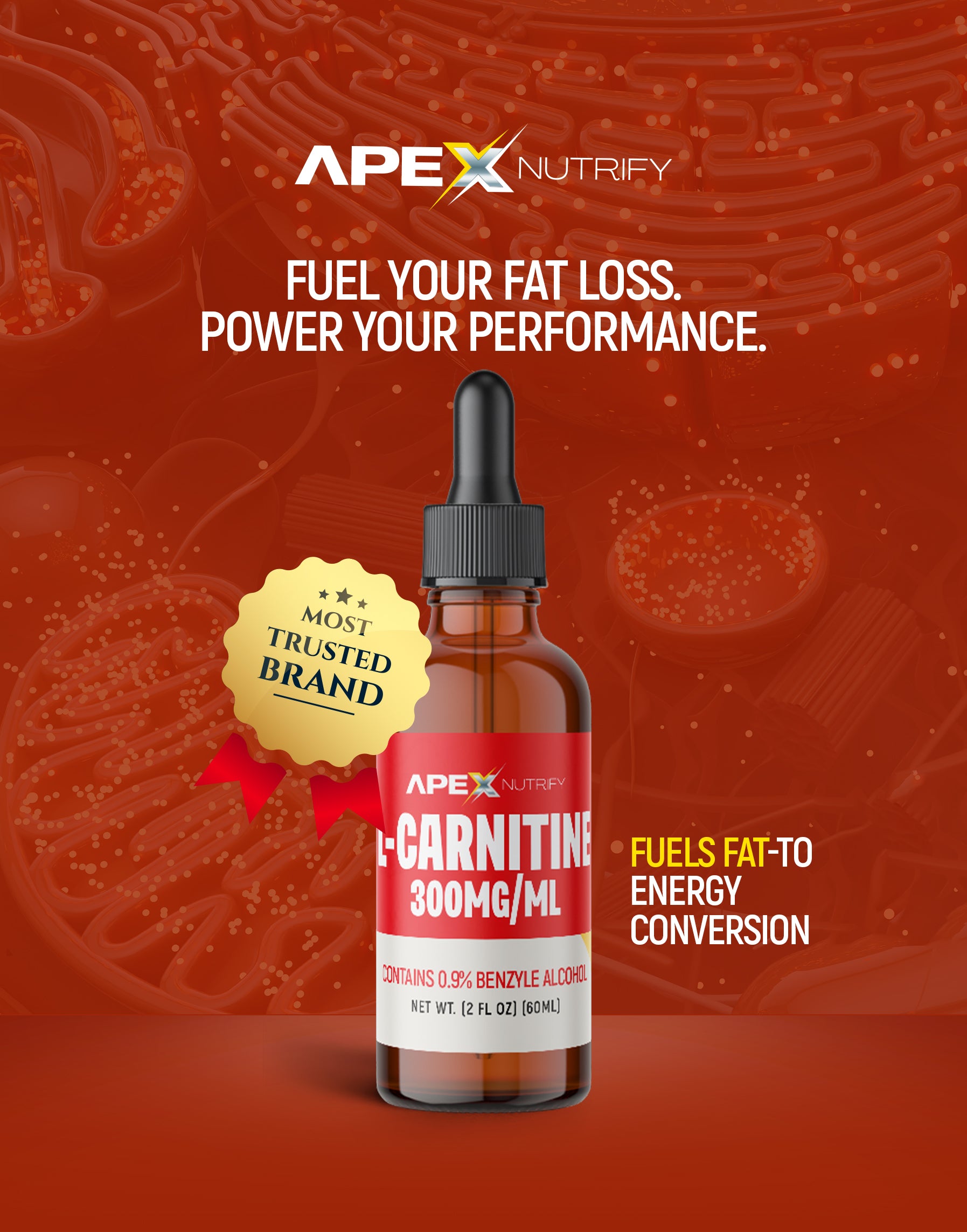 L-CARNITINE