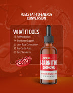 L-CARNITINE