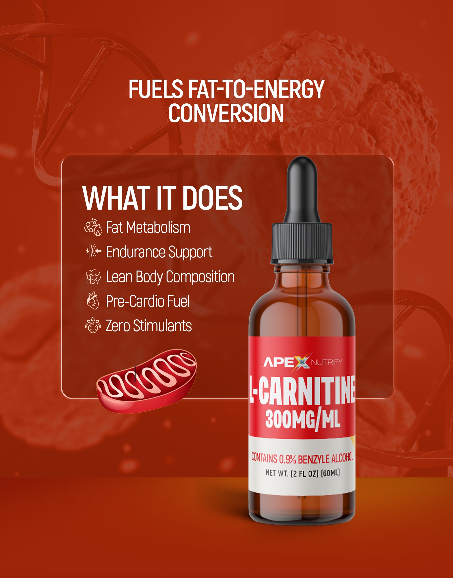 L-CARNITINE