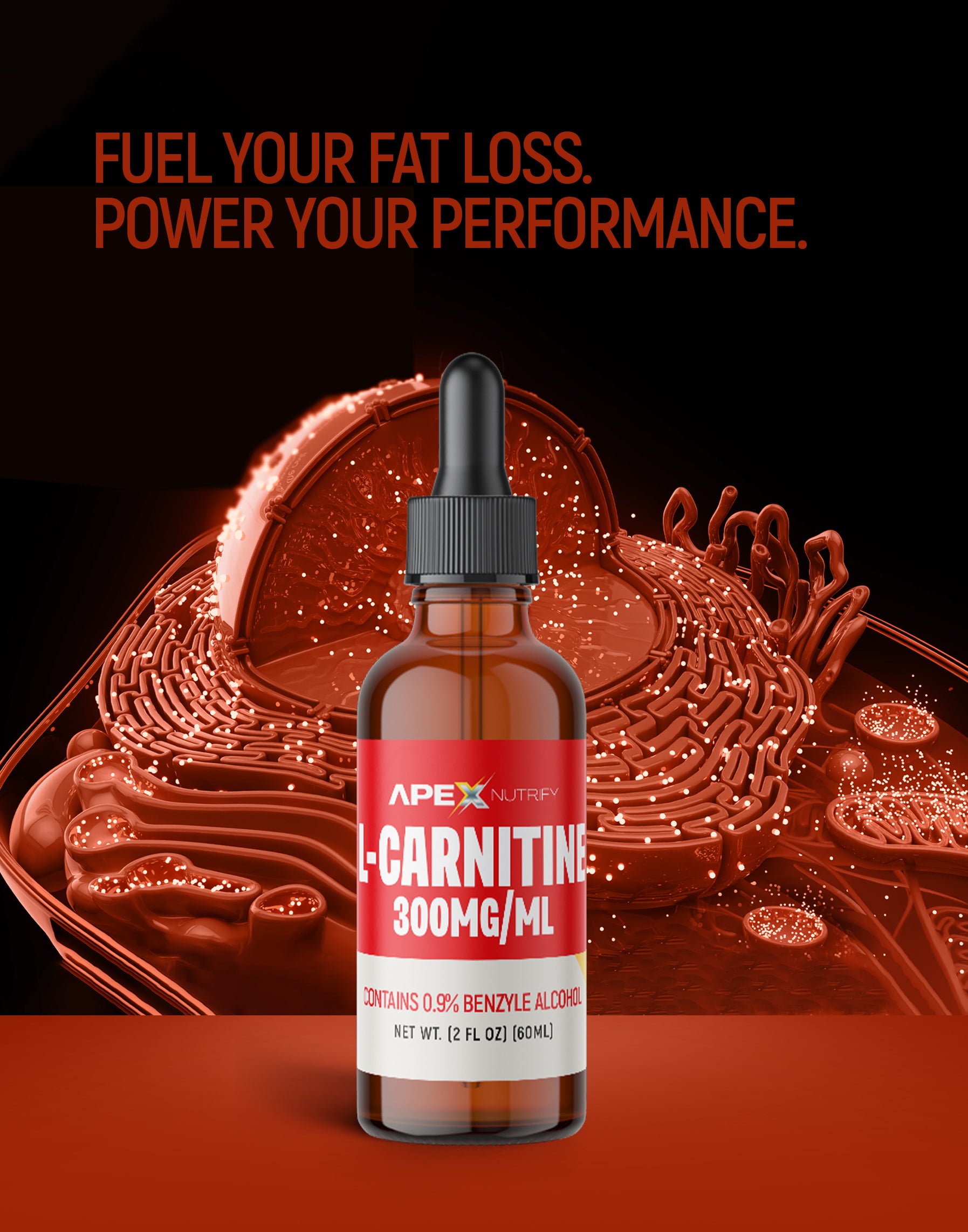 L-CARNITINE